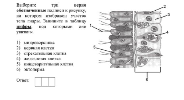 Кракен вход kr2web in